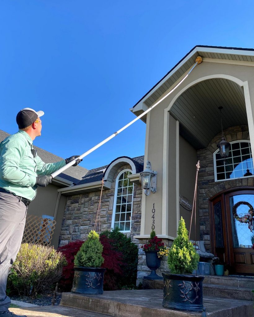 Pest Control Boise, ID Nature Shield Pest and Lawn